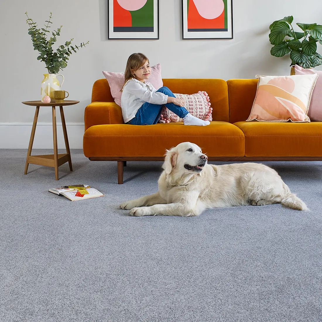 Apollo Plus — catalogue room visualisation