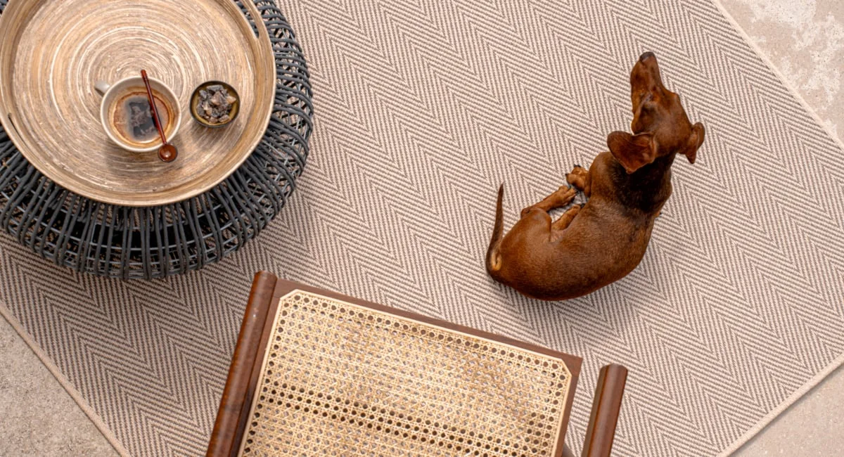 ReVive Chevron in Teak — supplier room imagery